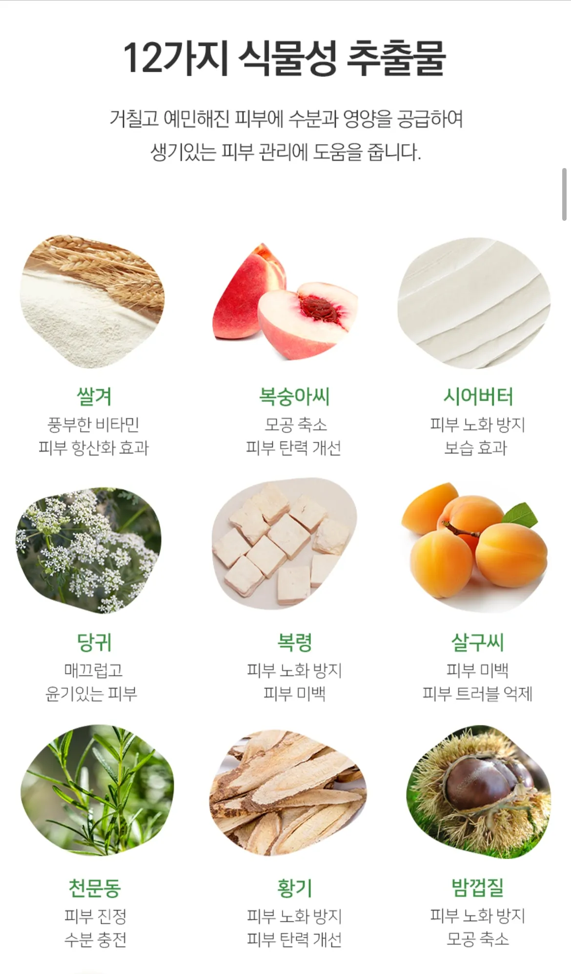 <<PRE ORDER>> BOTANIC 3150 Moist 공구구성 6/18/24-6/22/24