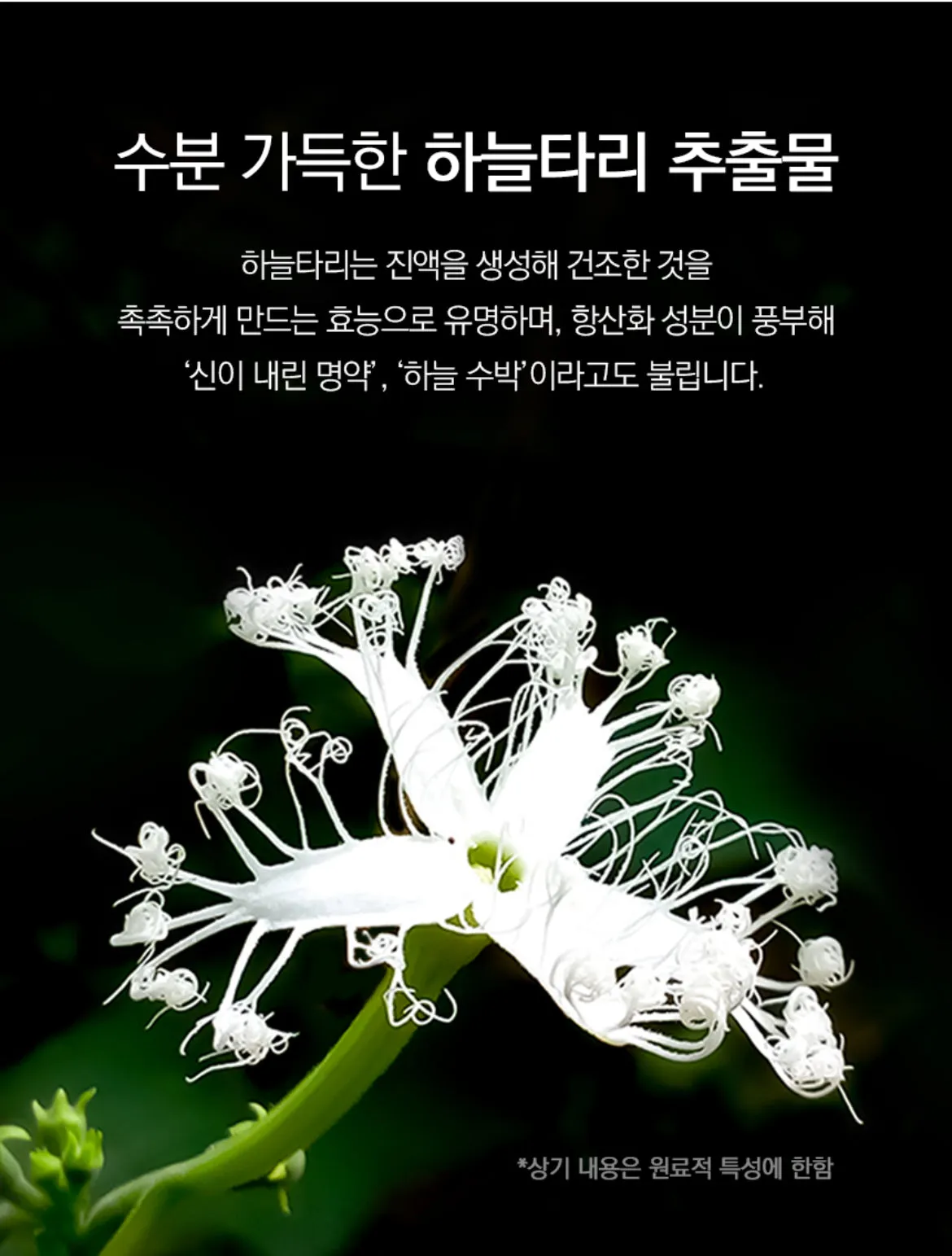 <<PRE ORDER>> BOTANIC 3150 Moist 공구구성 6/18/24-6/22/24